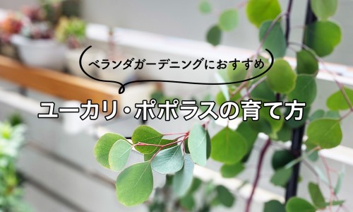 脂肪型小腿打瘦腿针有效果吗-男生瘦脂肪型小腿网男生瘦脂肪型小腿怎么减知识网站,分享男生脂肪腿图片大全
