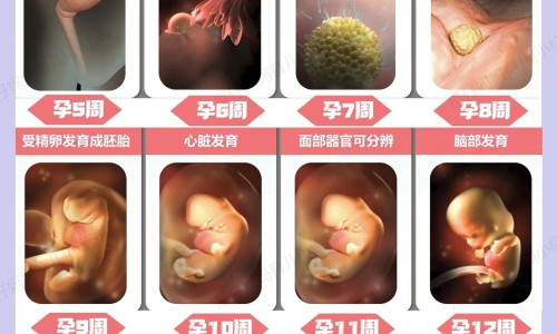 男生瘦脂肪型小腿网男生瘦脂肪型小腿怎么减知识网站,分享男生脂肪腿图片大全
